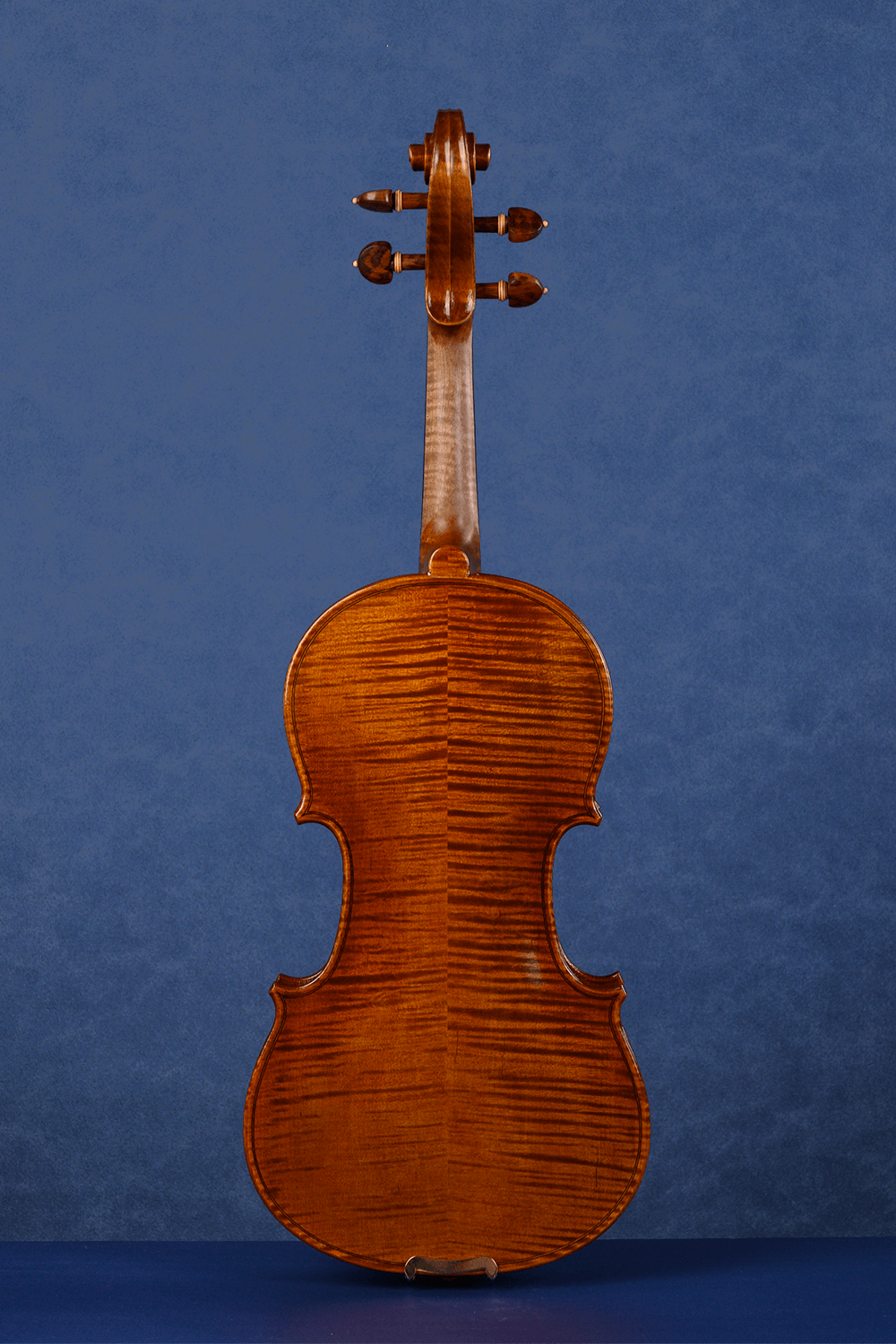 Q006 Intermediate Violin | Premium Maple & Spruce | Snakewood