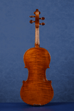 Q006 Intermediate Violin | Premium Maple & Spruce | Snakewood Fittings
