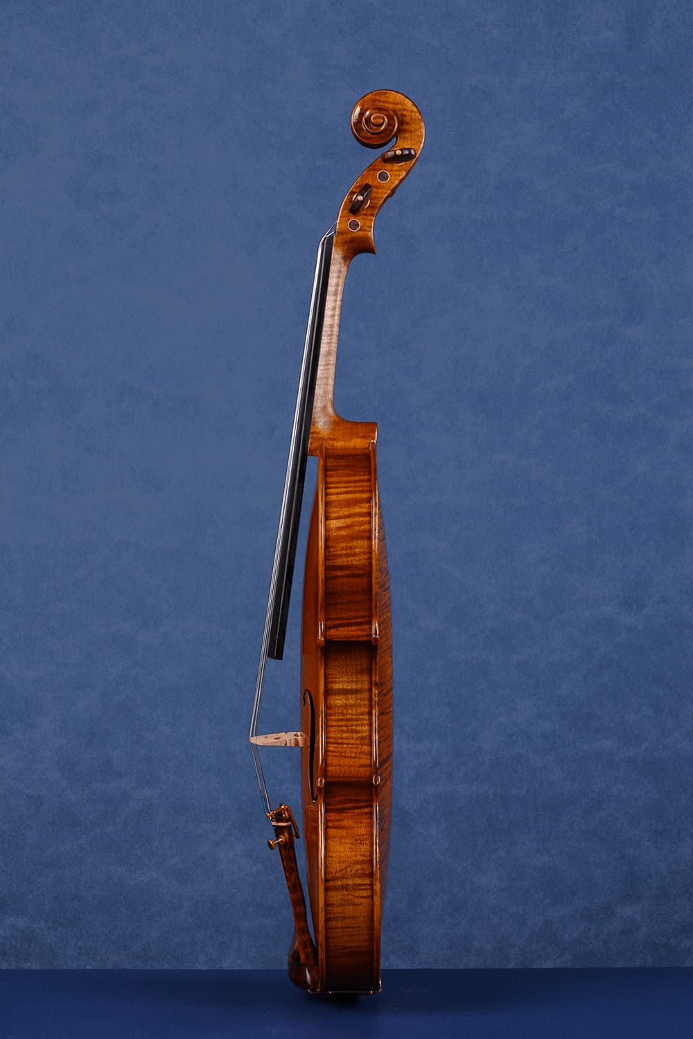 Q006 Intermediate Violin | Premium Maple & Spruce | Snakewood Fittings
