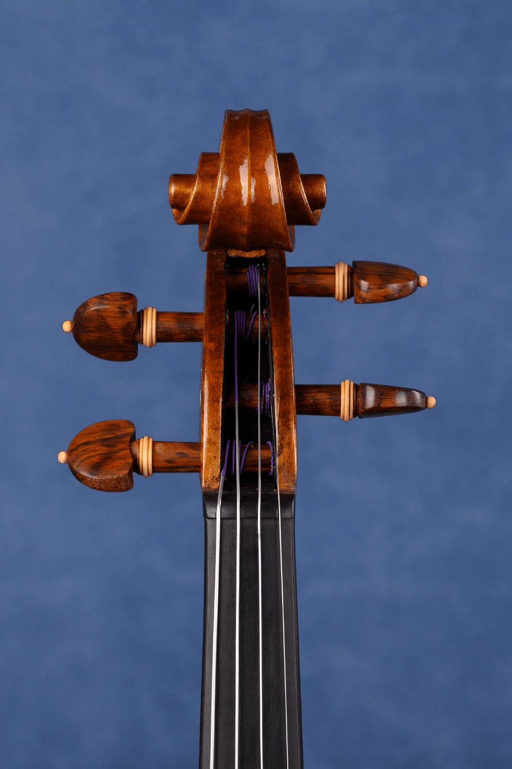 Q006 Intermediate Violin | Premium Maple & Spruce | Snakewood Fittings