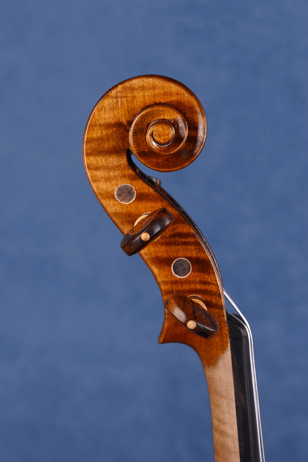 Q006 Intermediate Violin | Premium Maple & Spruce | Snakewood Fittings