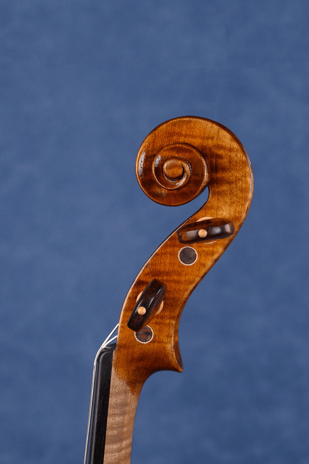 Q006 Intermediate Violin | Premium Maple & Spruce | Snakewood Fittings