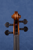Soloist(Brown Finish) Violin L030-5