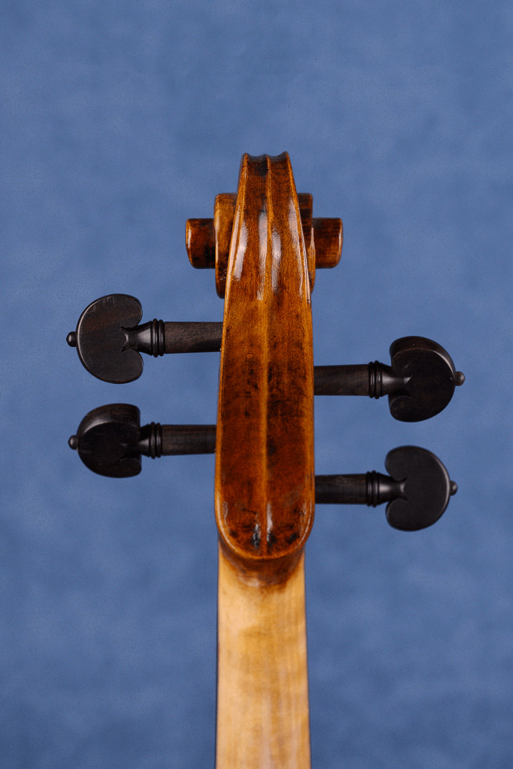 Soloist(Brown Finish) Two-piece Intermediate Violin L030
