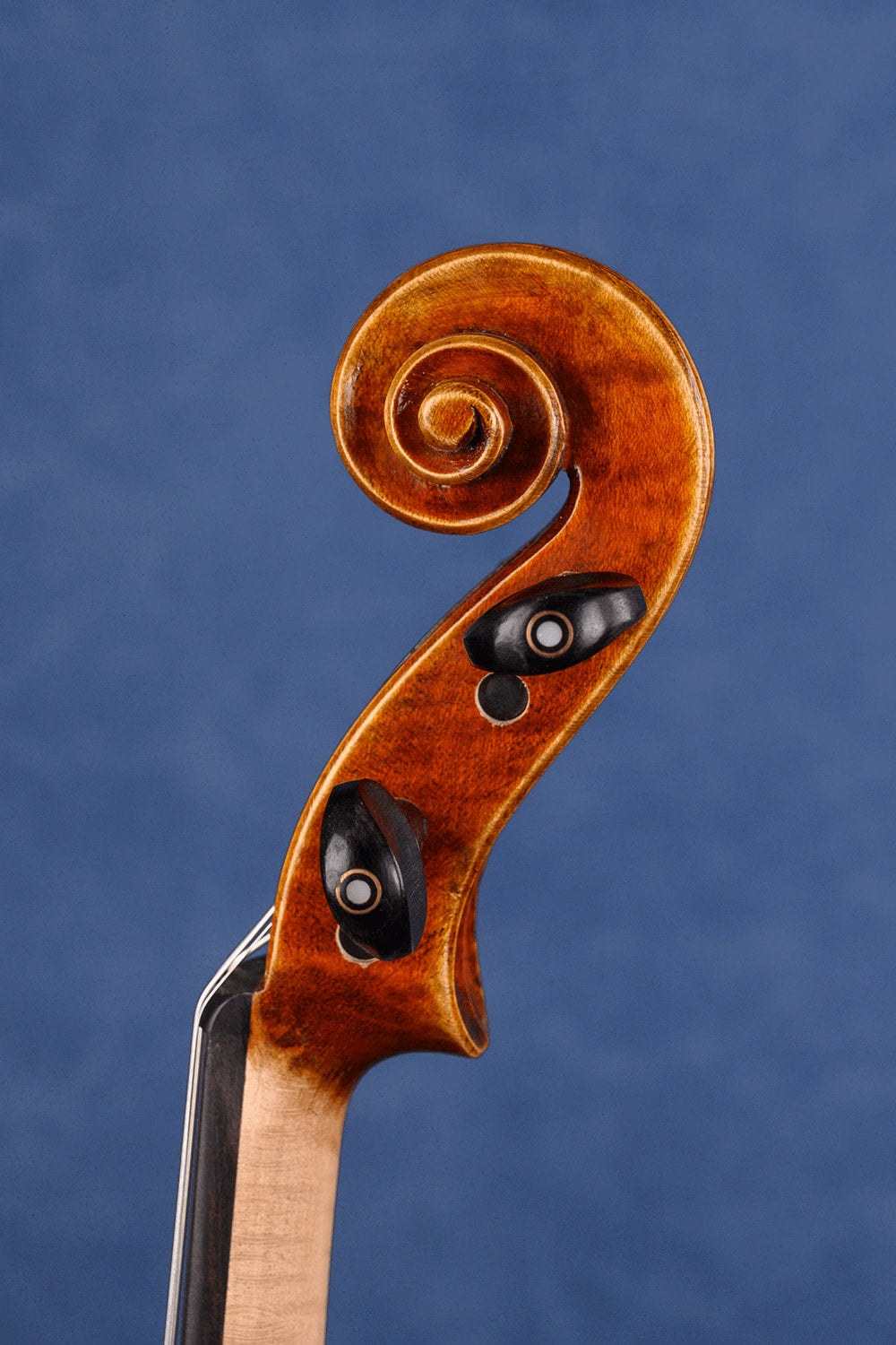 Soloist(Orange Finish) Two-piece Intermediate Violin L031