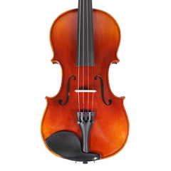 Student 4/4 violin summer vacation set X1013-2