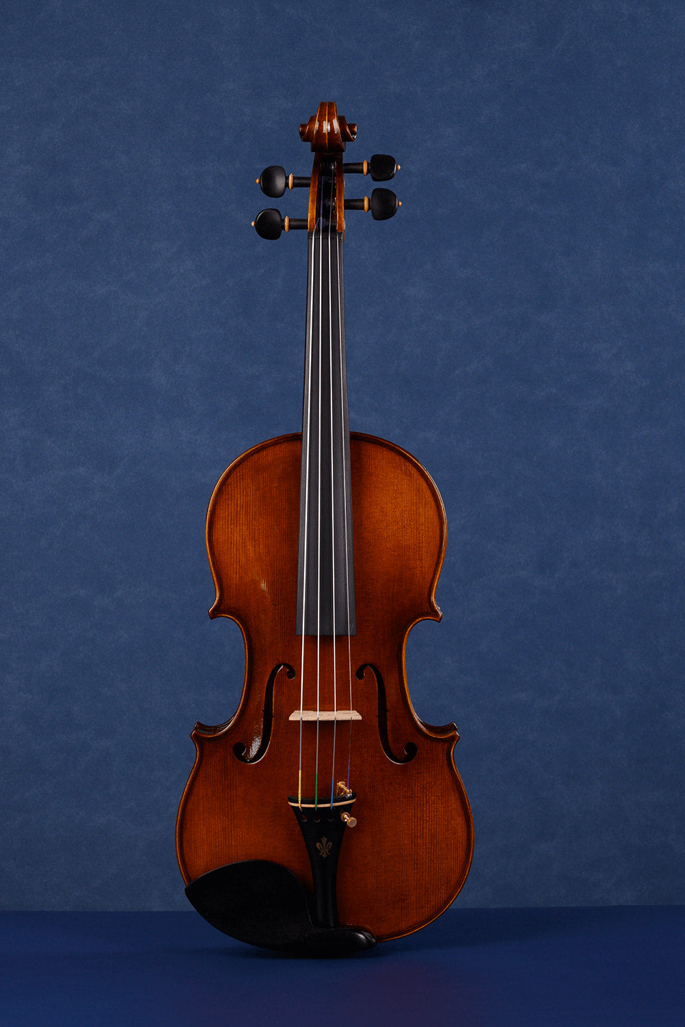 Teacher Approved Q003 Intermediate Violin Kit | School Band Favorite