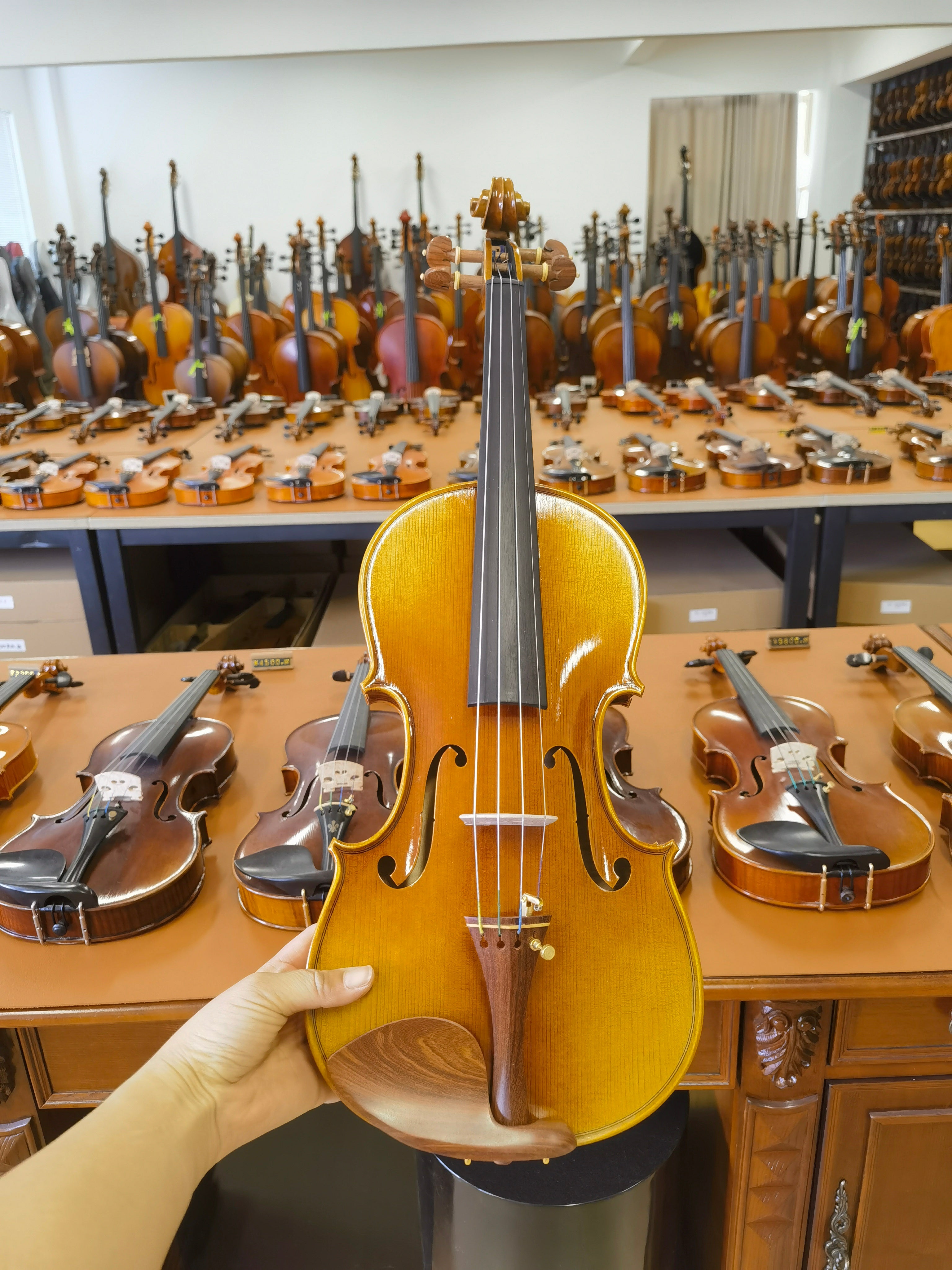 Fiddlover Intermediate Violin Outfit Q004