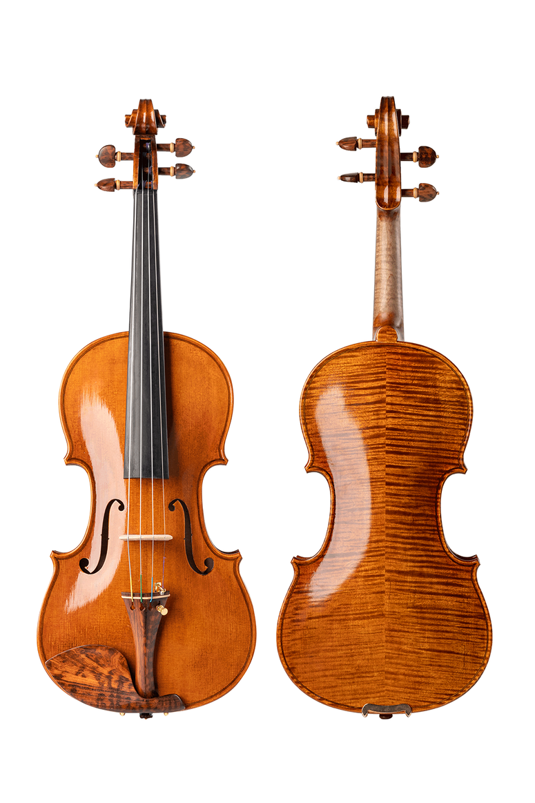 How many strings does a violin have fiddlover violin shop