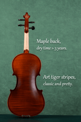 4/4 Full Size Solid Maple Wood and Ebony Fittings, Beginner Violin Outfit