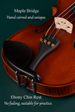 CLEARANCE High-Quality Entry-Level Violin Set for Students, and Adults