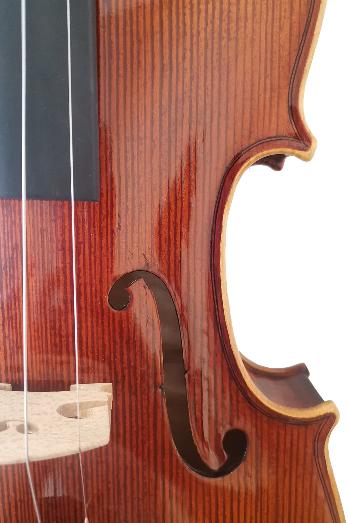 Fiddlover 4/4 Intermediate Violin Outfit L020