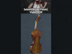 Soloist(Brown Finish) Two-piece Intermediate Violin L030