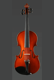 Natural Bird's Eye Maple Pattern Violin Q019-2