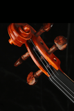 Fiddlover Performance Grade Violin Q030-4
