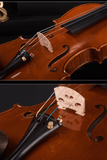Fiddlover Master Grade Violin 1 Piece Q031-5