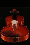 Fiddlover Performance Grade Violin Q030-7