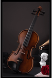 Beautiful Natural Maple Beginner Violin Outfit Q002-4