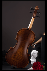 Beautiful Natural Maple Beginner Violin Outfit Q002-5