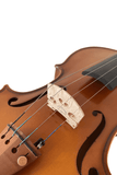 BeginnerStudent Violin Outfit  L001-6