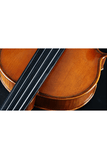 Elegant Intermediate Violin Outfit Q005-4