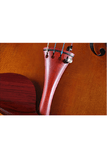 Elegant Intermediate Violin Outfit Q005-5