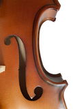 Fiddlover Exquisite Violin Beginner Outfit-9