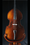 Fiddlerover Classic Bass DI1-3