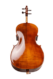 Fiddlover Beginner Cello CI1-2
