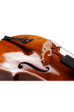 Fiddlover Beginner Cello CI1-4