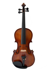 FiddloverFullSizeElegantViolinSetL014-1