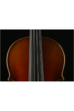 Fiddlover Intermediate Violin Retro Outfit Q007-7