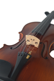 Advanced Tiger Stripe Beginners Violin L019-6