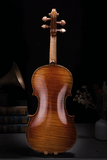 Fiddlover Intermediate Violin Outfit Q004-4