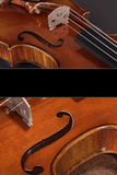 Fiddlover Intermediate Violin Outfit Q004-5