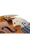 Fiddlover Advanced Violin Beginner OutfitL007-4