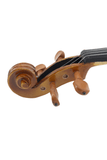 Fiddlover Advanced Violin Beginner OutfitL007-5