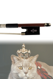 Fiddlover Violin Bow Crown Series