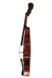 Fiddlover Classic Beginner Violin Set L018-3