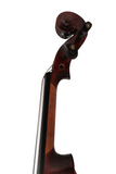 Fiddlover Classic Beginner Violin Set L018-5
