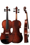 Beautiful Natural Maple Beginner Violin Outfit Q002