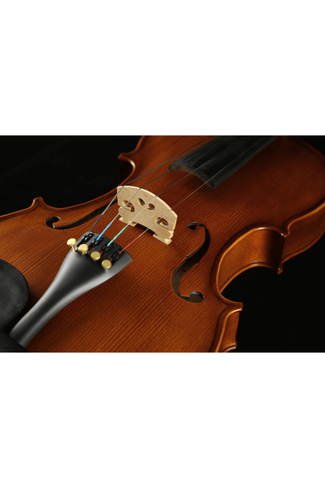 Fiddlover Beginner Viola Outfit VQ1 (Teacher Approved, Ready to Play)