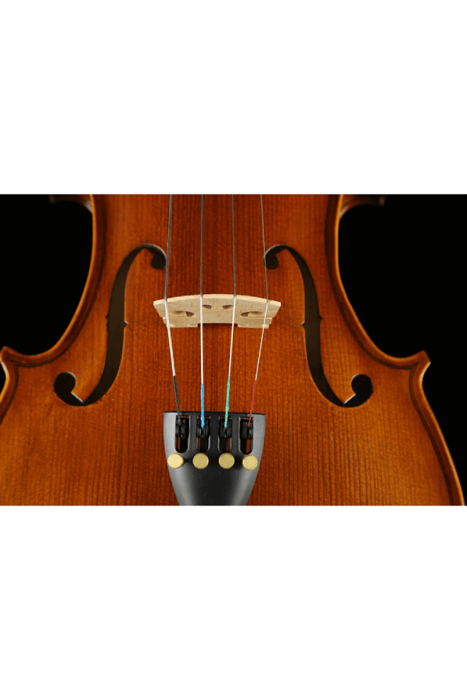 Fiddlover Beginner Viola Outfit VQ1 (Teacher Approved, Ready to Play)