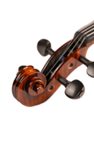 Fiddlover Elegant Beginner Viola Outfit VB1 (Ready to Play)