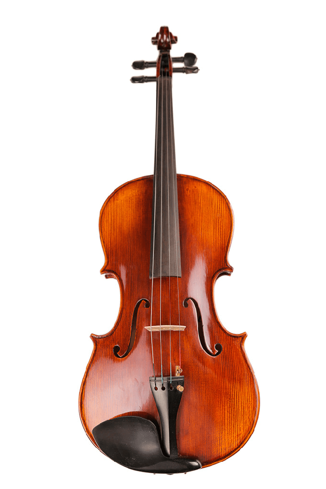 Fiddlover Intermediate Viola Outfit VI1 (Best-Value Version)