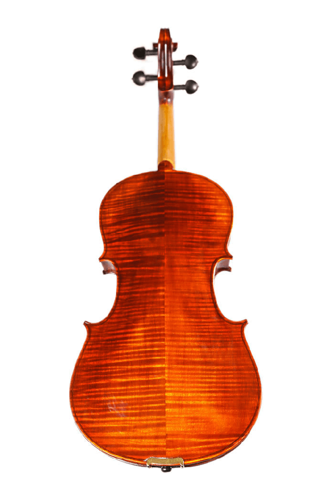 Fiddlover Intermediate Viola Outfit VI1 (Best-Value Version)
