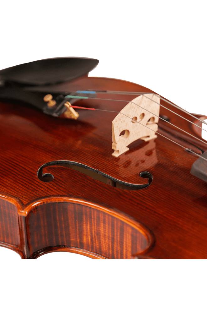 Fiddlover Intermediate Viola Outfit VI1 (Best-Value Version)