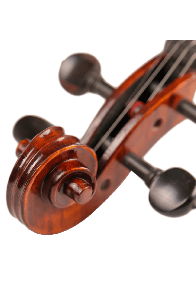 Fiddlover Intermediate Viola Outfit VI1 (Best-Value Version)