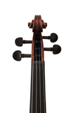 Fiddlover Hand Carved Beginner Violin Outfit L015-7