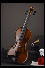 Classic Intermediate Violin Outfit Q014-2